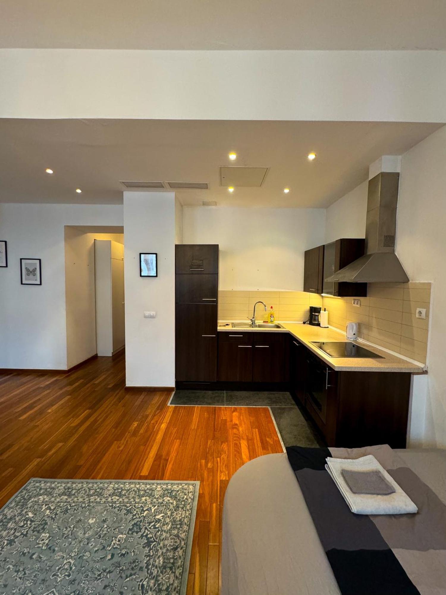 Downtown Family Apartments Budapest Bilik gambar